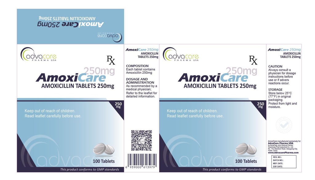 Амоксикейр 250мг №100 шахмал Зинт
